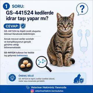 Lima Veteriner Kliniği