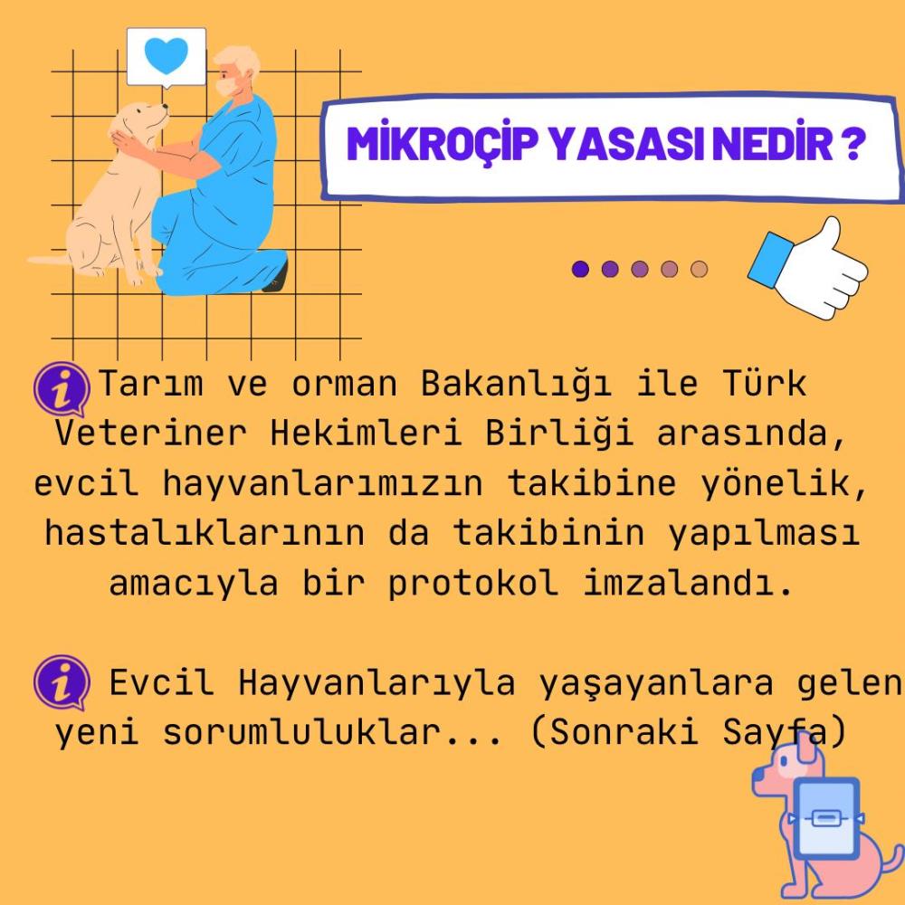 Evcil hayvanlarımıza mikroçip zorunluluğu geldi!