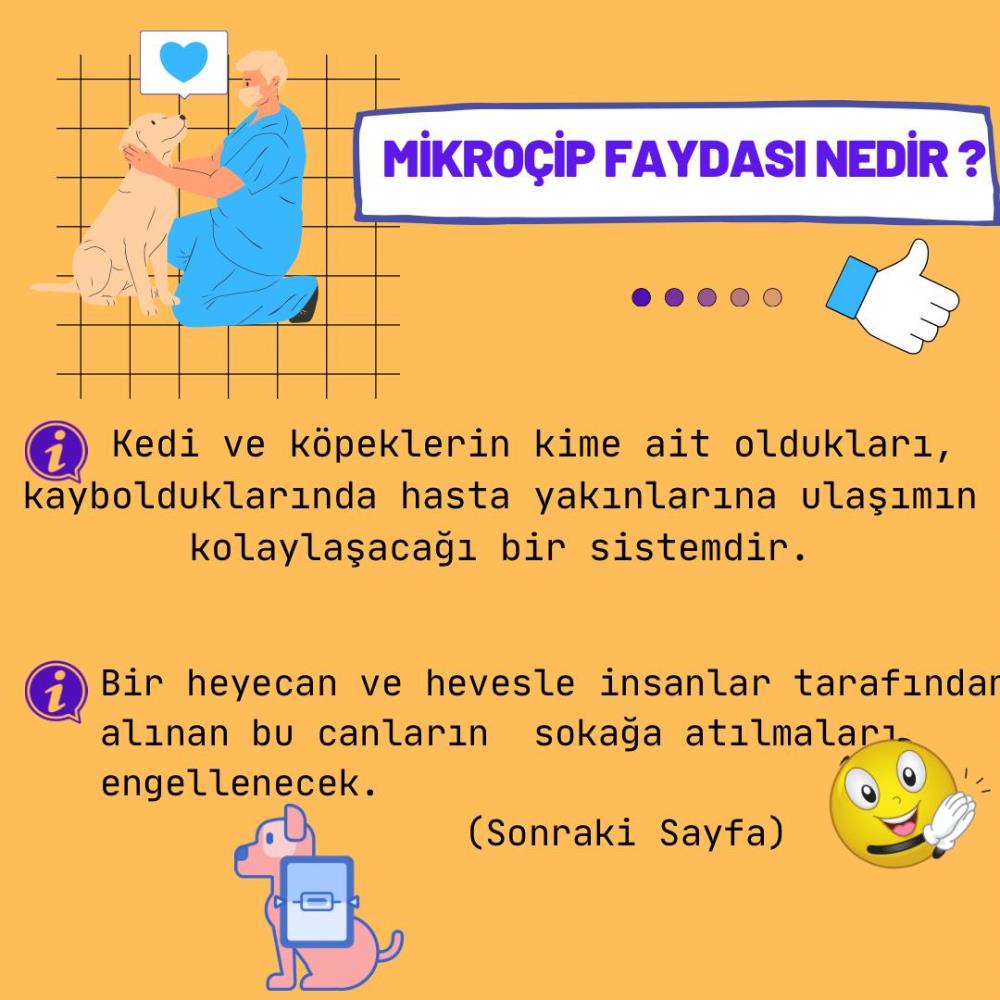 Evcil Hayvanlarda Mikroçip Uygulaması