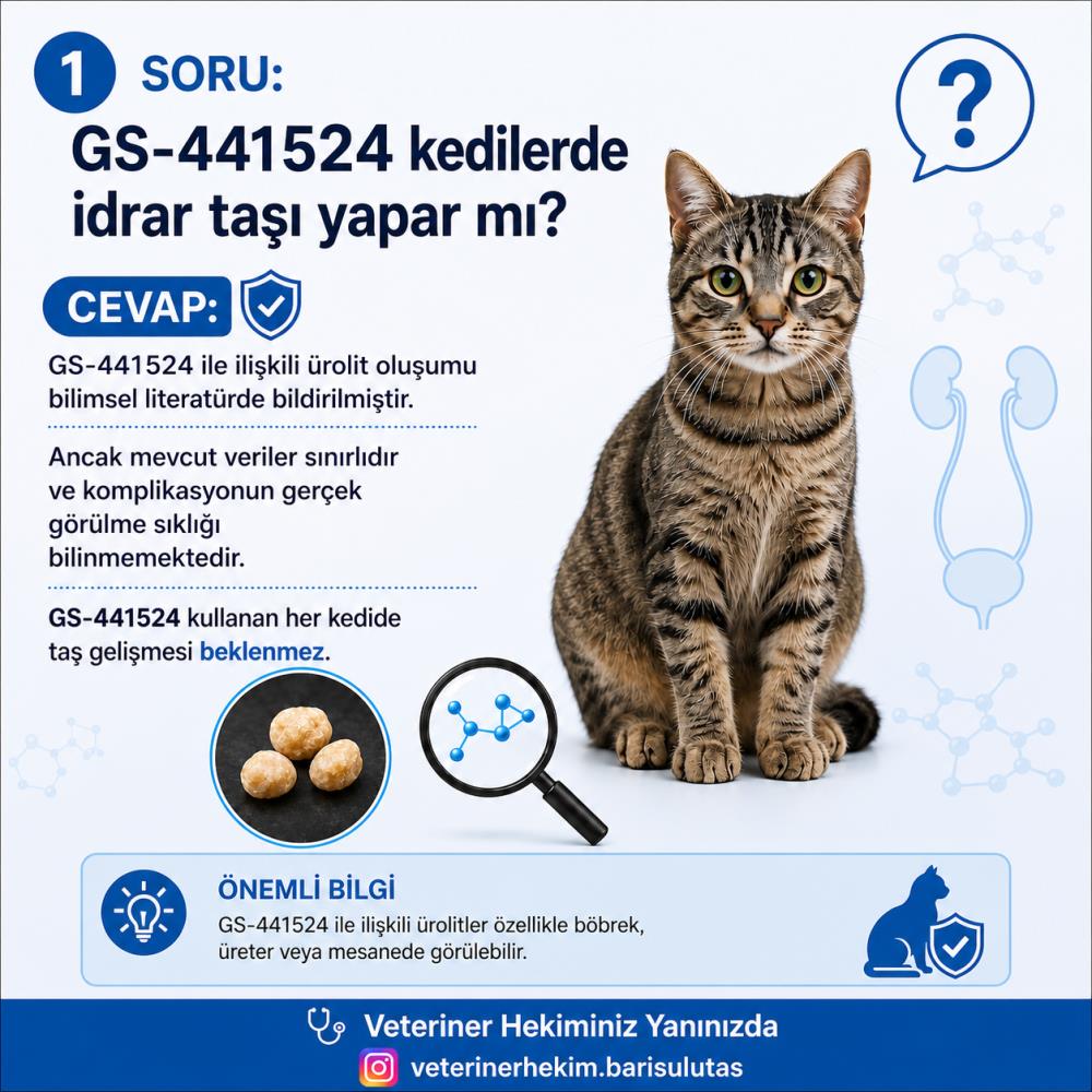 FIP Tedavisinde GS-441524 ve Kedilerde Ürolit Riski: FIP İlacı İdrar Taşına Neden Olabilir mi?