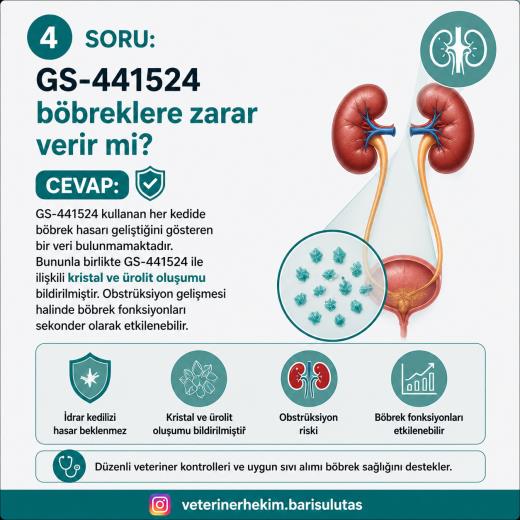 FIP Tedavisinde GS-441524 ve Kedilerde Ürolit Riski: FIP İlacı İdrar Taşına Neden Olabilir mi?