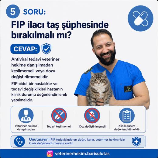 FIP Tedavisinde GS-441524 ve Kedilerde Ürolit Riski: FIP İlacı İdrar Taşına Neden Olabilir mi?